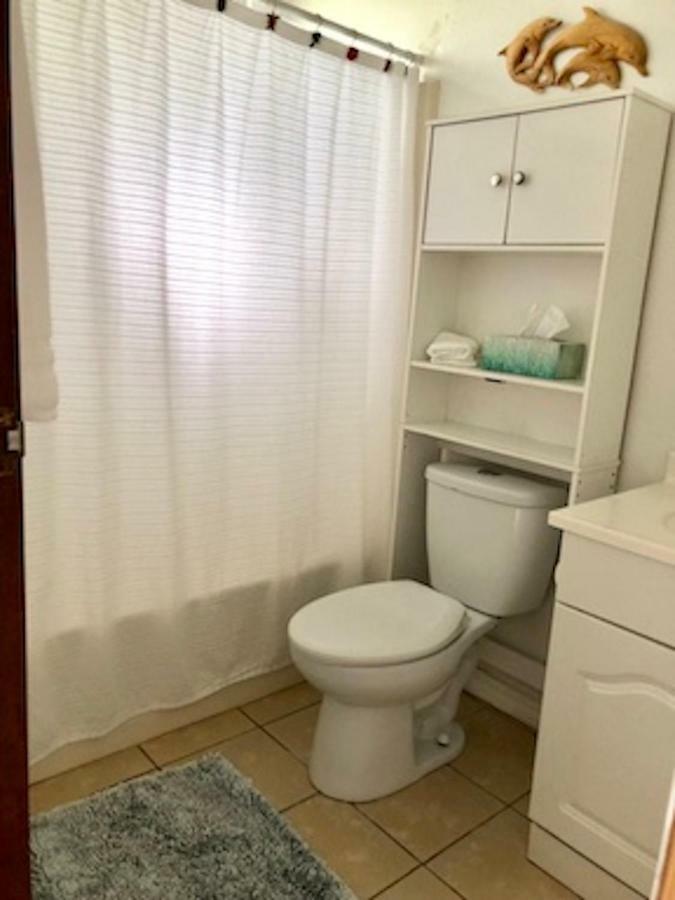 Lovely Relaxing Lanikai Studio, Legal Vacation Rental Kailua Exterior photo